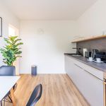 Rent 3 bedroom apartment of 50 m² in Mülheim an der Ruhr