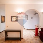 Affitto 5 camera appartamento di 110 m² in Ancona