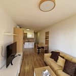Rent 2 bedroom apartment of 56 m² in Číhošť