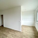 Rent 1 bedroom apartment of 33 m² in Chemnitz