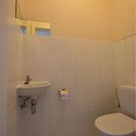 Rent 2 bedroom apartment in Hoeselt