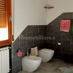 Rent 4 bedroom apartment of 100 m² in Carmignano