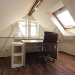 Rent 3 bedroom apartment of 133 m² in Praha