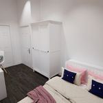 Rent 4 bedroom apartment in Worcester