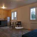 Rent 1 bedroom apartment of 36 m² in Le May-sur-Èvre