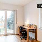 Miete 4 Schlafzimmer wohnung von 155 m² in Berlin Köpenick