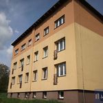 Rent 2 bedroom apartment of 38 m² in Těrlicko