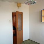 Rent 3 bedroom apartment of 67 m² in Prague