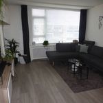 Huur 3 slaapkamer appartement van 75 m² in Hilversum