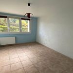Rent 1 bedroom apartment in VALENCE