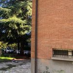 Affitto 5 camera casa di 210 m² in Reggio Emilia