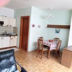 Rent 1 bedroom apartment of 42 m² in Steiermark