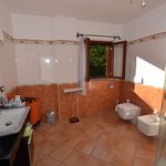 Rent 5 bedroom house of 270 m² in Genzano di Roma