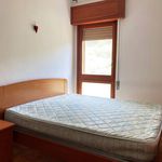 Affitto 1 camera appartamento di 65 m² in Catanzaro