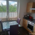 Rent 1 bedroom apartment of 35 m² in Schwerin