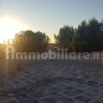 Rent 3 bedroom house of 75 m² in Pulsano
