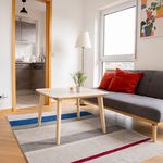 Miete 1 Schlafzimmer wohnung von 36 m² in Dessau-Roßlau