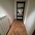 Rent 2 bedroom apartment of 90 m² in Arezzo