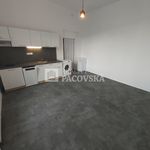 Rent 1 bedroom apartment of 26 m² in Ústí nad Labem