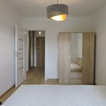 Rent 2 bedroom apartment of 38 m² in Leszno