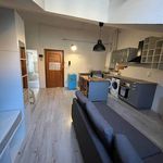 Rent 1 bedroom apartment of 25 m² in Padova
