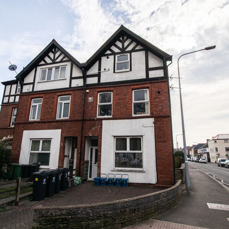 Studio Flat On Romilly Road, Canton - To Let - MGY Estate Agents Cardiff and Chartered Surveyors Victoria Park
