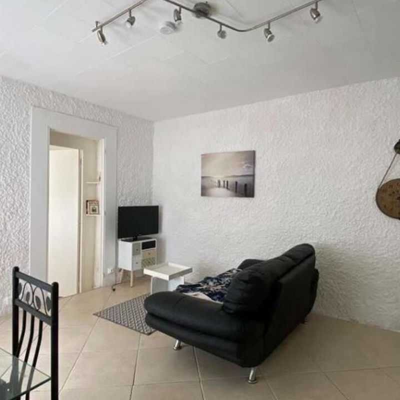 Location appartement 1 pièce 35 m² Castres (81100) Navès