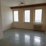 Rent 1 bedroom apartment of 46 m² in Vítkov