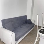Affitto 1 camera appartamento di 50 m² in Novara