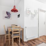 Rent 2 bedroom apartment of 45 m² in Essen