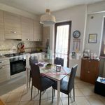 Rent 2 bedroom apartment of 50 m² in Zagarolo