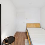 Zimmer von 61 m² in Graz