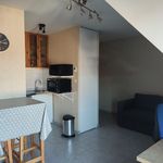Appartement de 21 m² avec 1 chambre(s) en location à Dijon