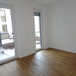Rent 3 bedroom apartment of 80 m² in Mannheim