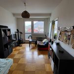 Rent 1 bedroom apartment of 42 m² in Kopřivnice