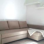 Miete 1 Schlafzimmer wohnung von 30 m² in Leipzig