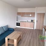 Rent 1 bedroom apartment of 30 m² in Hradec Králové