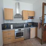 Rent 3 bedroom apartment of 51 m² in Ajaccio