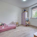Rent 3 bedroom apartment in Těškov