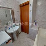 Rent 2 bedroom apartment of 55 m² in Cerveteri