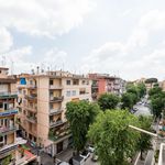 Rent 2 bedroom apartment in Roma