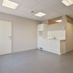 Rent 1 bedroom house of 215 m² in Dilbeek