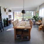 Rent 3 bedroom apartment of 140 m² in Schoten