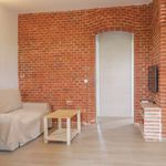 Rent 2 bedroom apartment of 49 m² in La Castellana