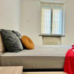 Rent 1 bedroom apartment of 51 m² in Milano