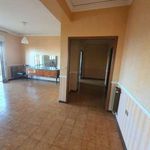 Rent 4 bedroom apartment of 100 m² in Catania