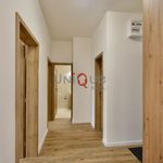Rent 3 bedroom apartment of 71 m² in Dolní Olešnice