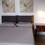 Rent 3 bedroom apartment of 70 m² in Forlì
