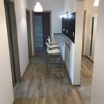 Rent 6 bedroom apartment in Piaseczno