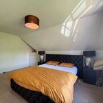 Rent 3 bedroom house in Destelbergen